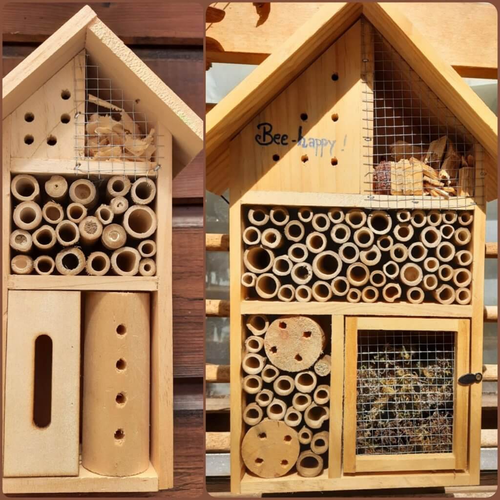 „Bienen-Glück“ bei Sterntalers