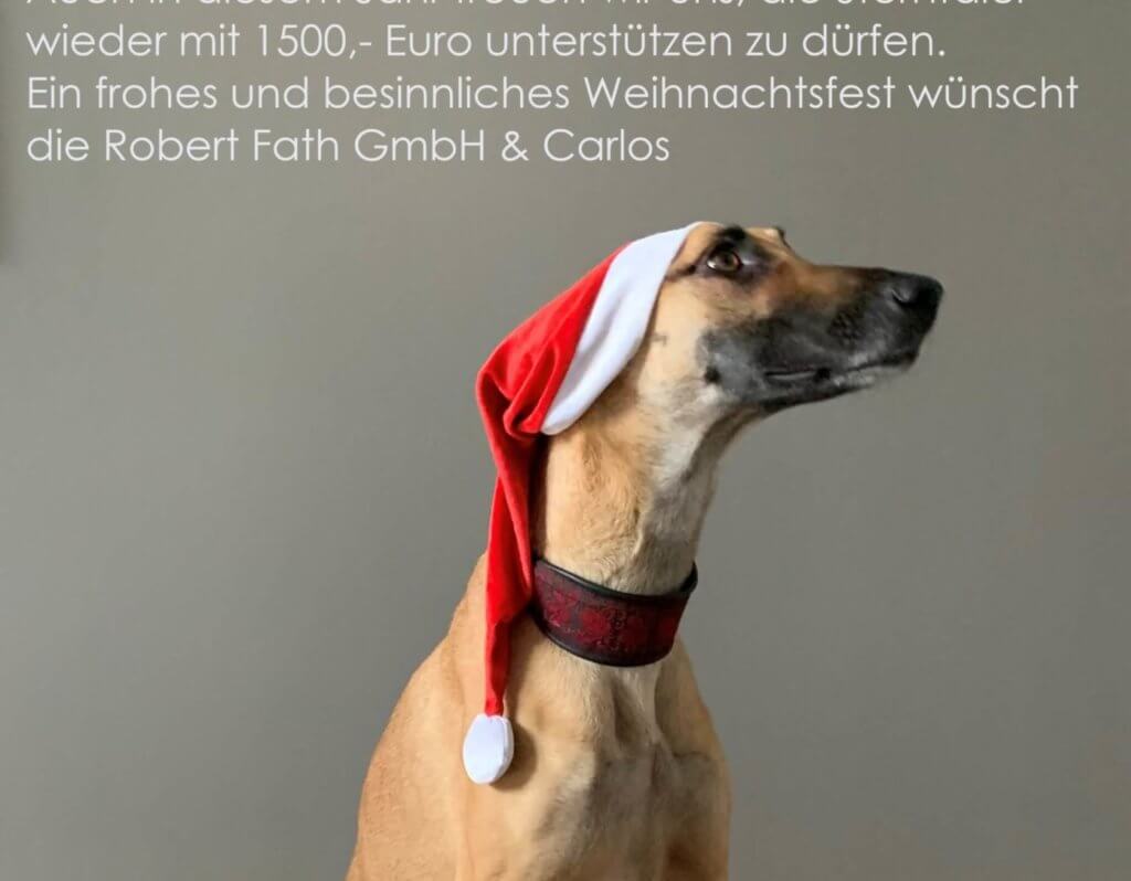 Auch 2021 spendet die Robert Fath GmbH wieder an die Sterntaler