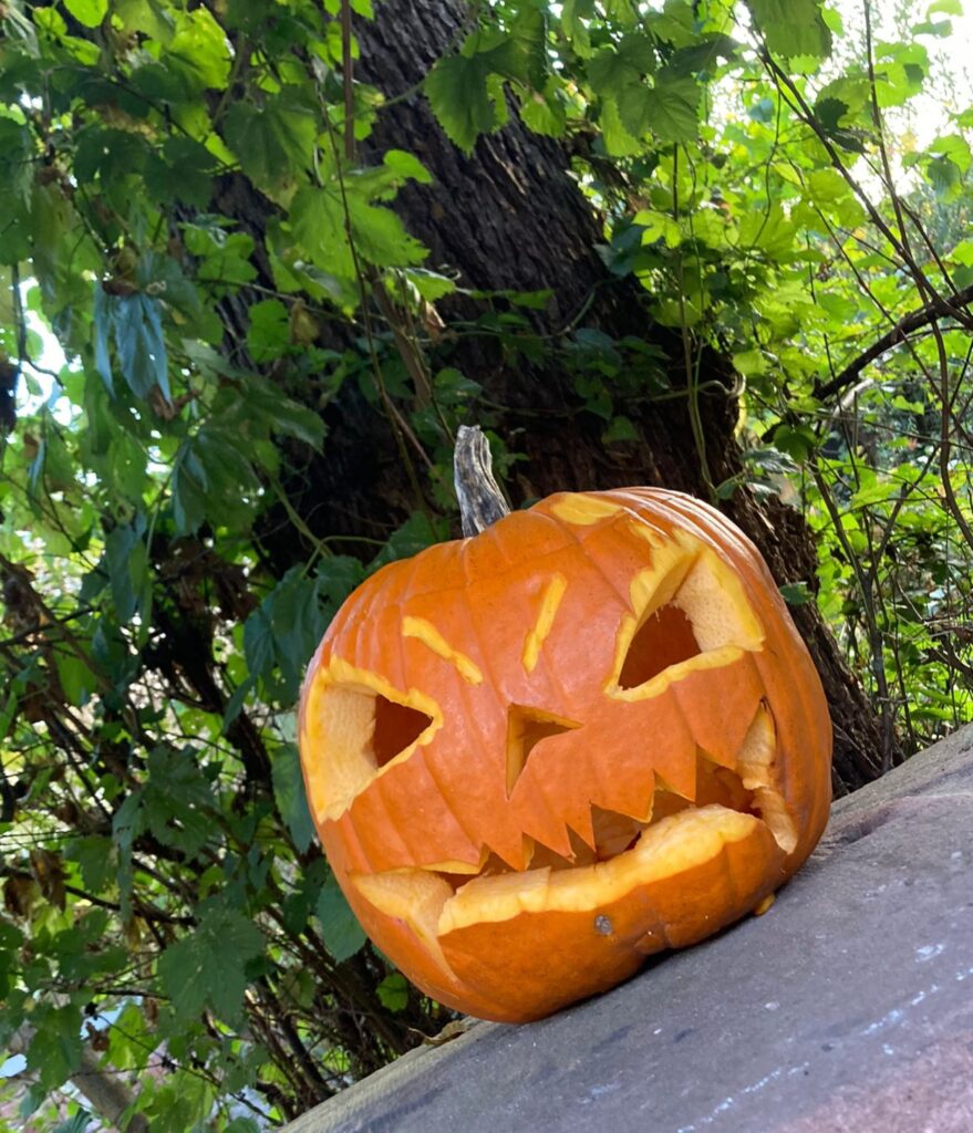 Halloween bei Sterntalers