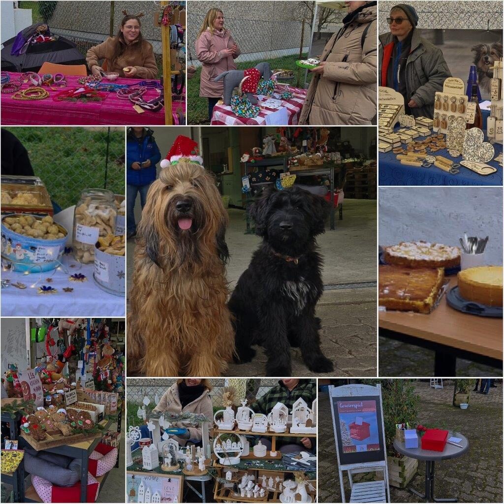 Wenn Mensch und Hund gemeinsam wirken…